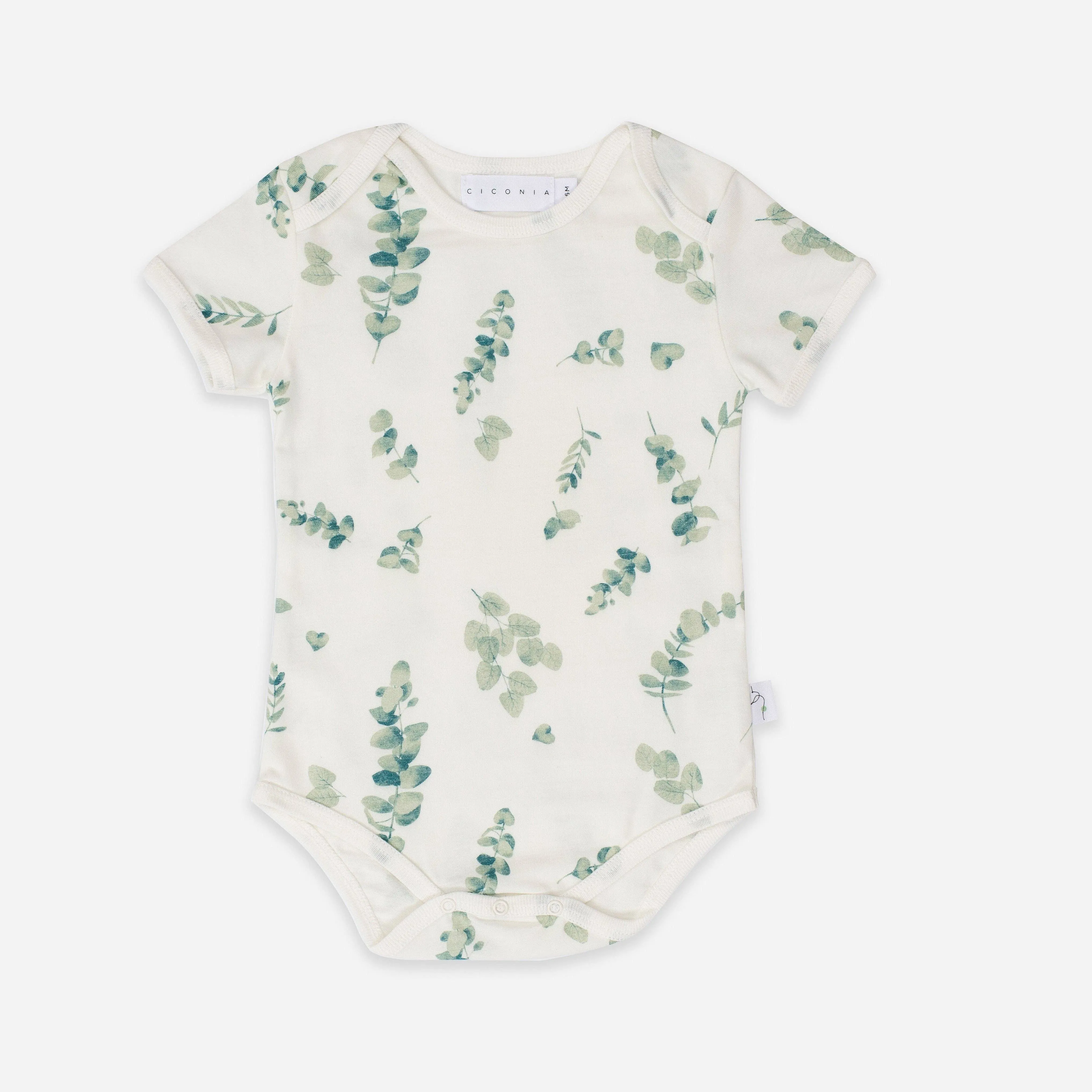 Ciconia Organics Eucalyptus Bodysuit: 0-3M