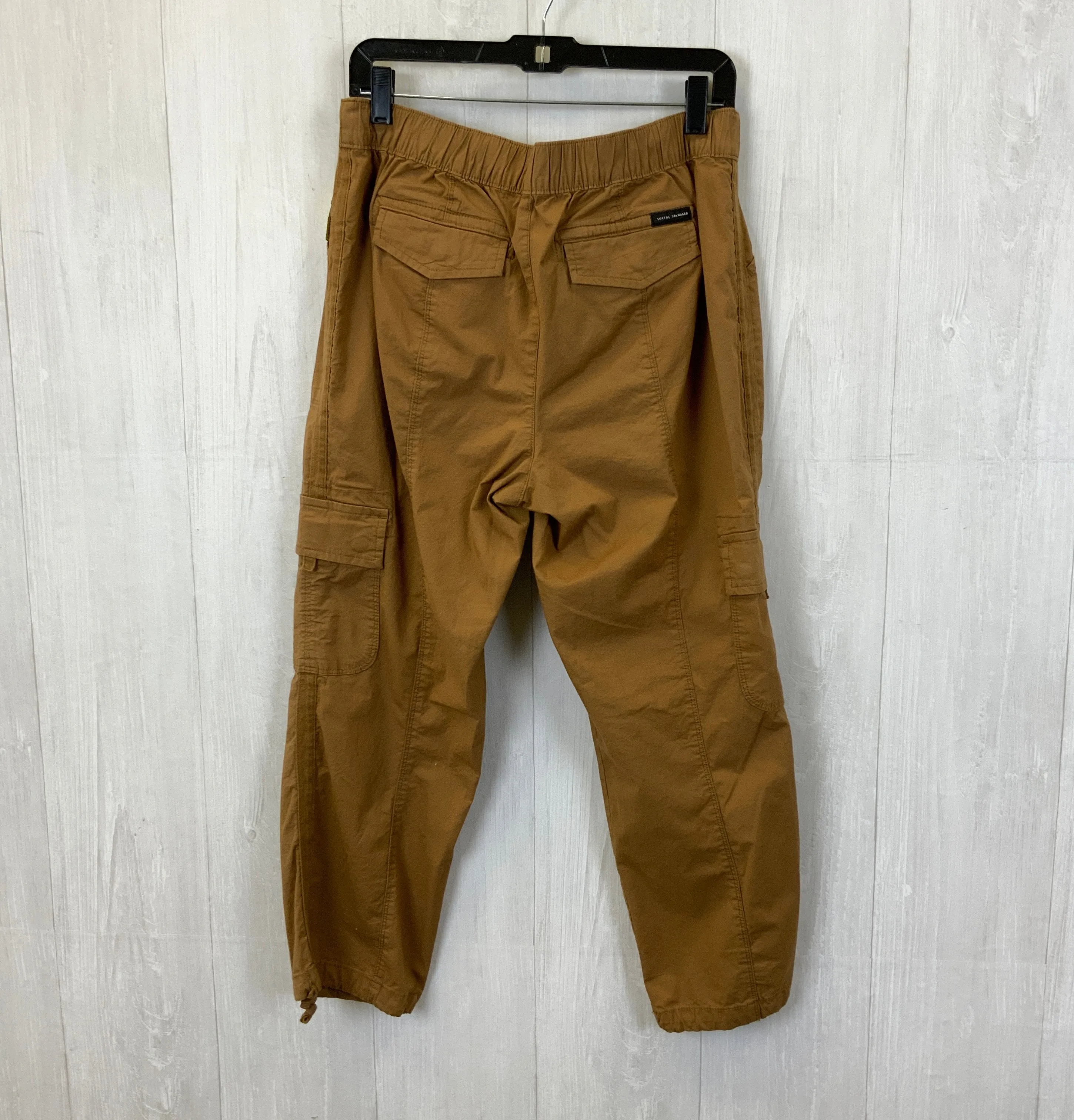 Pants Cargo & Utility By Social Standard By Sanctuary In Brown, Size: Xl