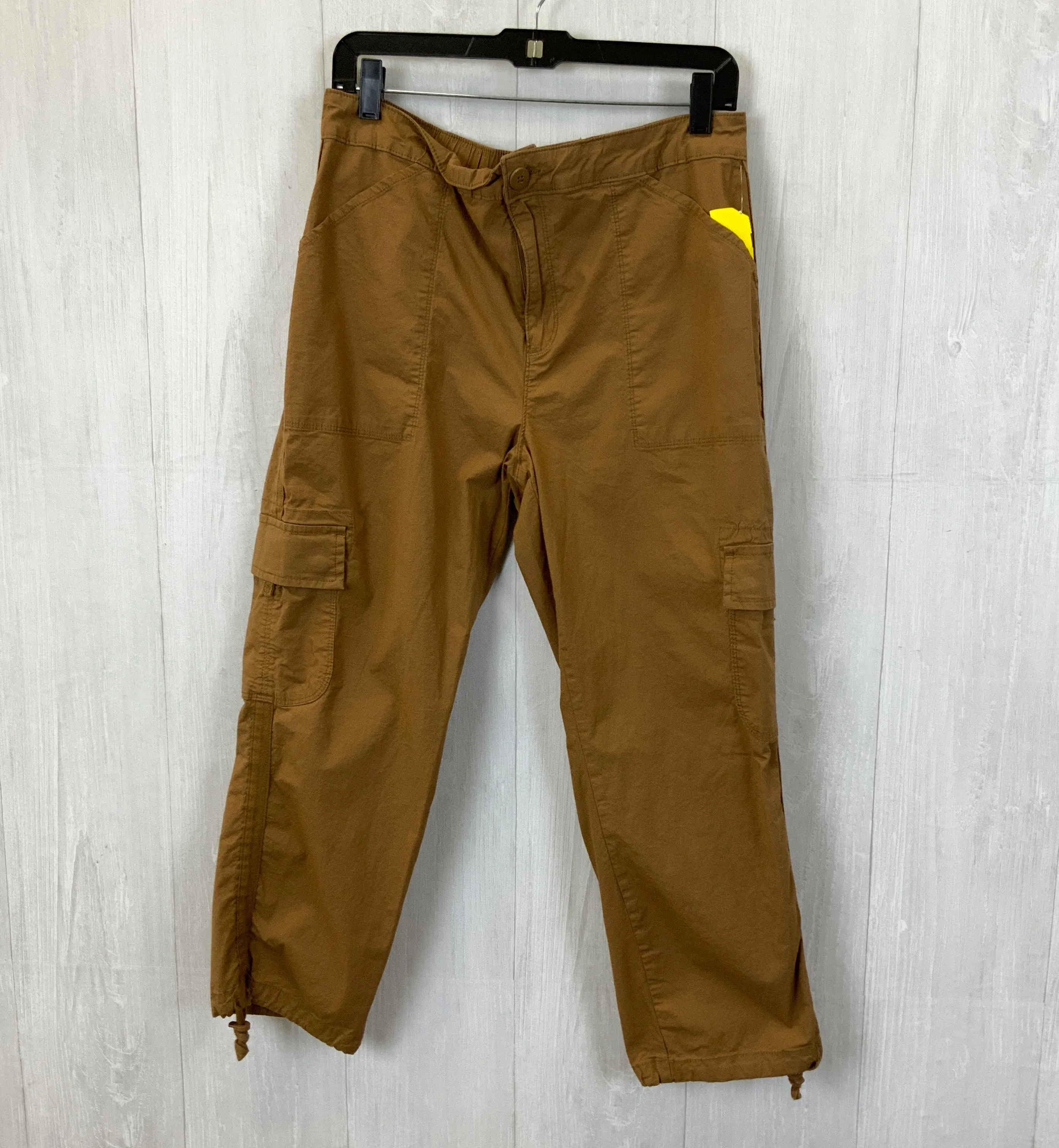 Pants Cargo & Utility By Social Standard By Sanctuary In Brown, Size: Xl