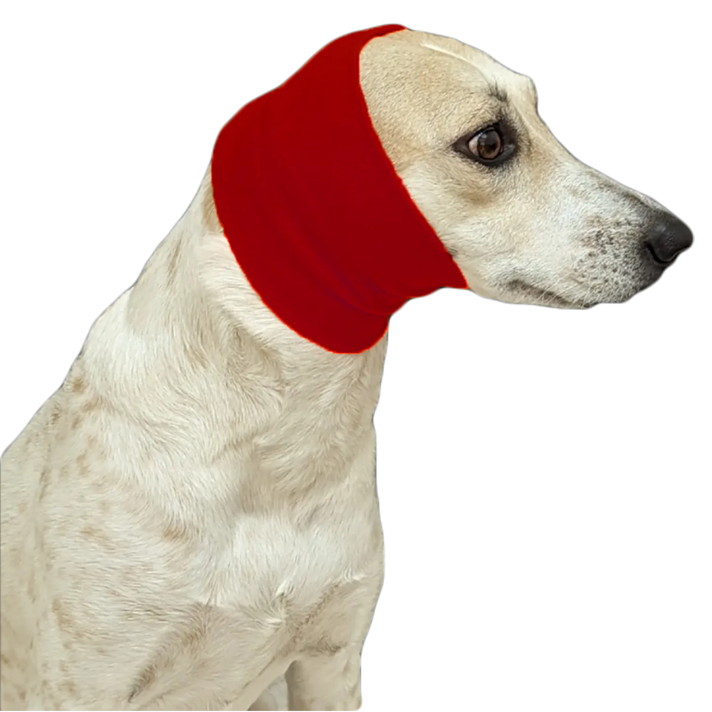 Red Ear Muff For Cats & Dogs