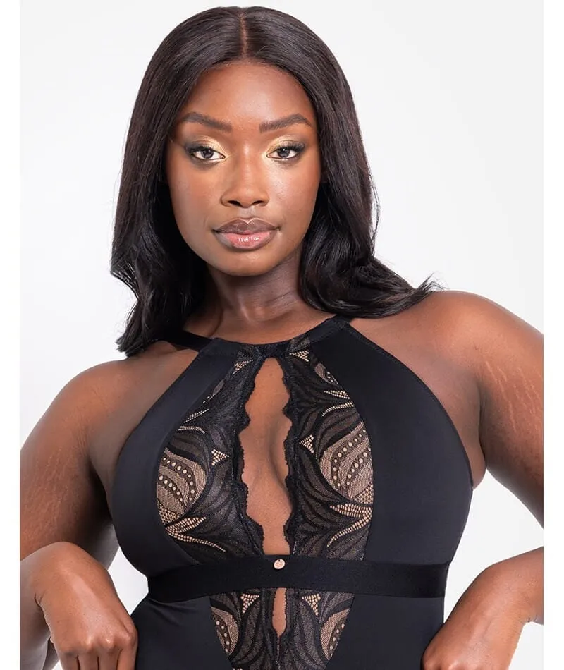 Scantilly Indulgence Stretch Lace Bodysuit - Black/Latte